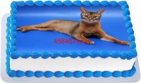Торт с изображением кошки породы абиссинская {$region.field[40]}