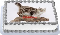 Торт с изображением кошки породы американский бобтейл длинношёрстный {$region.field[40]}