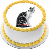 Торт с изображением кошки породы американская жесткошёрстная {$region.field[40]}