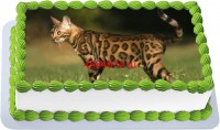 Торт с изображением кошки породы бенгальская {$region.field[40]}