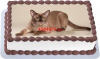 Торт с изображением кошки породы бурма {$region.field[40]}