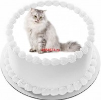 Торт с изображением кошки породы бурмилла длинношёрстный {$region.field[40]}