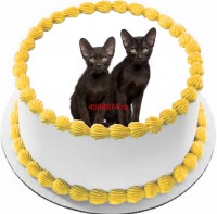 Торт с изображением кошки породы гавана {$region.field[40]}