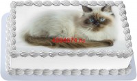 Торт с изображением кошки породы гималайская кошка {$region.field[40]}