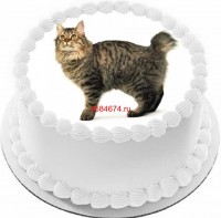 Торт с изображением кошки породы карельский бобтейл короткошёрстный {$region.field[40]}