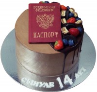 Торт на день рождения с паспортом {$region.field[40]}