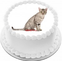 Торт с изображением кошки породы оцикет {$region.field[40]}