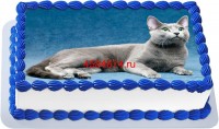 Торт с изображением кошки породы русская голубая {$region.field[40]}