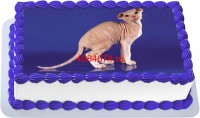 Торт с изображением кошки породы украинский левкой {$region.field[40]}