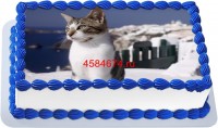 Торт с изображением кошки породы эгейская {$region.field[40]}