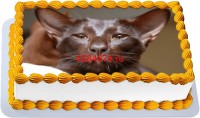 Торт с изображением кошки породы яванез {$region.field[40]}
