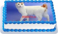 Торт с изображением кошки породы японский бобтейл {$region.field[40]}
