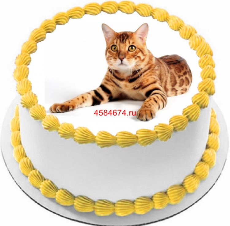 Торт с изображением кошки породы аравийский мау