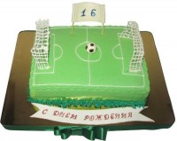Торт футбольное поле из мастики в Санкт-Петербурге