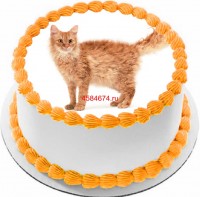 Торт с изображением кошки породы лаперм {$region.field[40]}