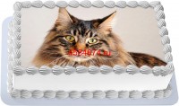 Торт с изображением кошки породы мейн-кун {$region.field[40]}