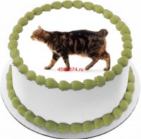 Торт с изображением кошки породы мэнкс {$region.field[40]}