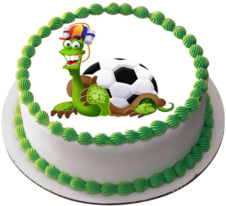 Торт черепаха в виде футбольного мяча фото