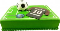 Торт в виде футбольного поля в Санкт-Петербурге