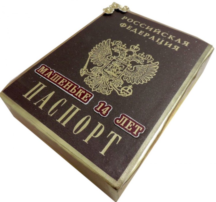 Торт в виде паспорта без мастики