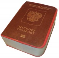 Торт на получение паспорта мальчику в Санкт-Петербурге